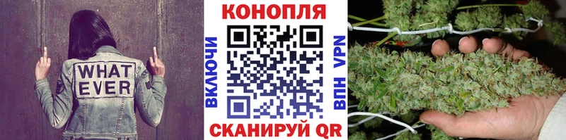 купить  цена  Мариинский Посад  Бошки Шишки Amnesia 